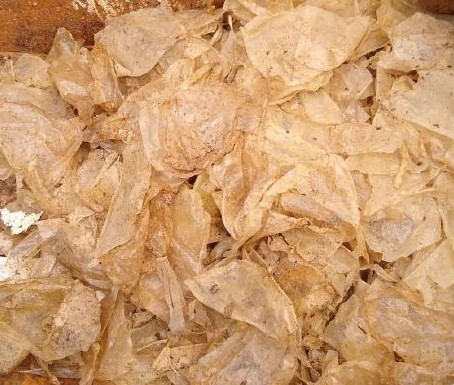 Drycake-5.jpg